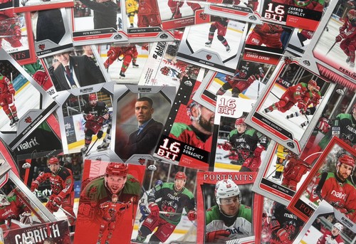 Card bundle cardiff devils - cardiff,