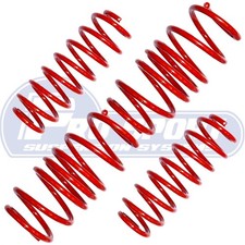 PRO SPORT LOWERING SPRINGS