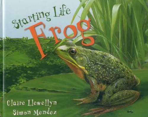 Frog hardcover claire - hardcover,