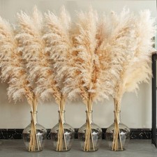 20 Stems 40" Natural Pampas