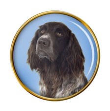 German Longhaired Pointer