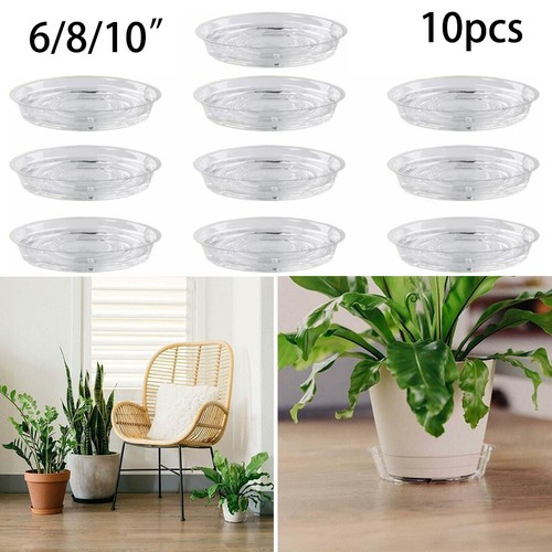10pc garden plant - garden,