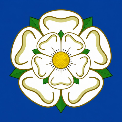 Yorkshire rose quality - rose,