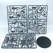 Dark Elves Scourgerunner