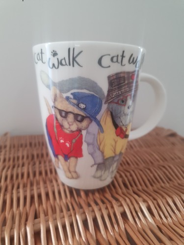 Roy kirkham animal fashion - fashion, cat