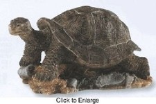 COUNTRY ARTISTS GALAPAGOS