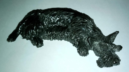 Scottish terrier eve - terrier, pearce