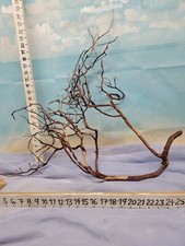  Manzanita driftwood premium aquarium wood aquascape decor reptiles bird perch