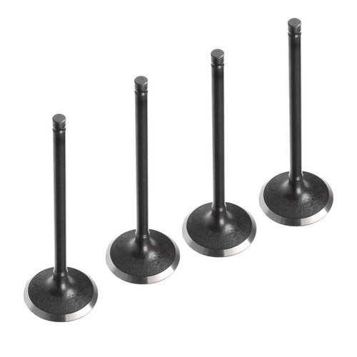 Intake valve for ford - intake,