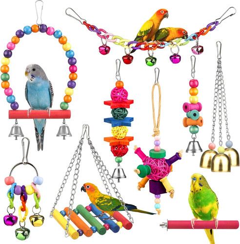 Bird toys for - toys, with