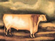 Porter Design Print Shorthorn Bull by artist Alexandra Churchill