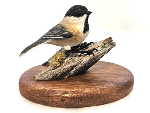 Black capped chickadee - capped, bird