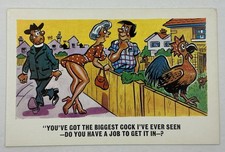 Vintage SUNNY  PEDRO Series