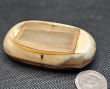 Small Victorian Horn Snuff Box