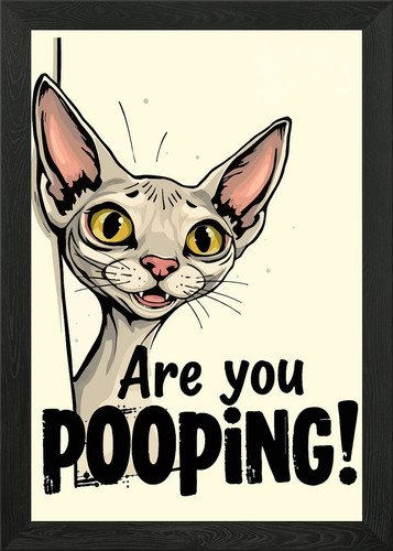 Sphynx cat meme framed - meme, wall