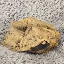 Fish Tank Landscape Aquarium drift wood from the isle of wight ,Ornament