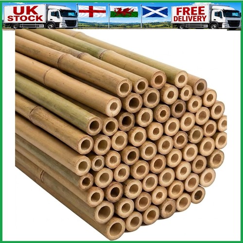 Strong heavy duty - duty, canes