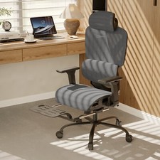 Deluxe Mesh Ergonomic Office