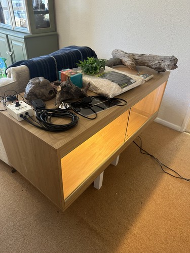 4ft vivarium with lighting and - lighting,