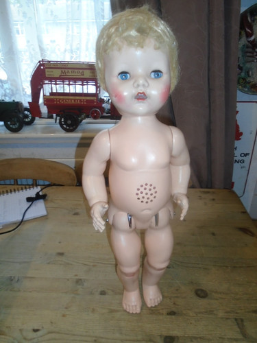 Vintage pedigree walking - pedigree,