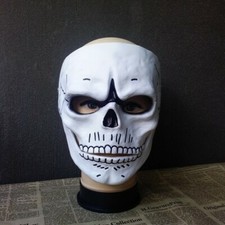Skull Mask White Day Of The