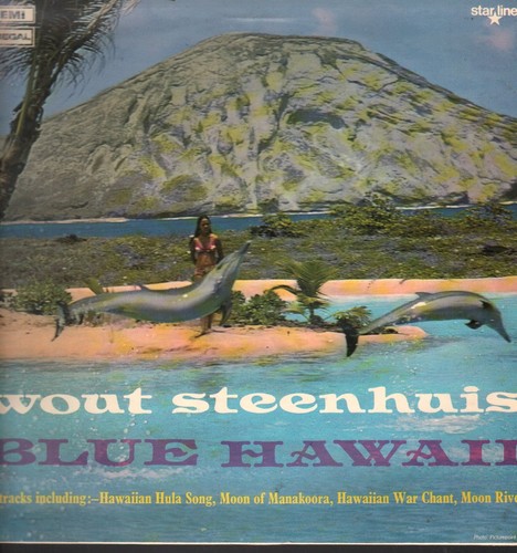 Wout steenhuis blue hawaii - wout,