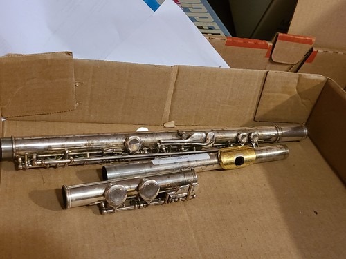 Jupiter carnegie flute - xl,