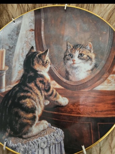 Franklin mint cat plate - franklin,