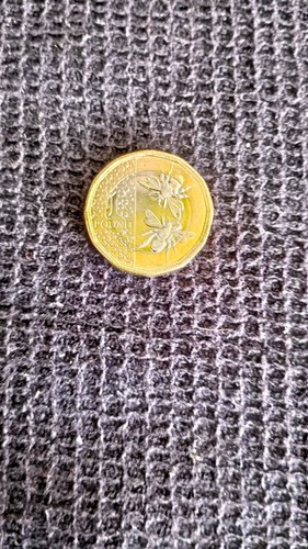 British one pound king - british,