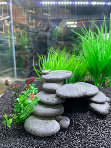 Pebble stack - pebble,