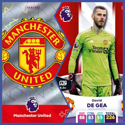 Manchester united panini - manchester,