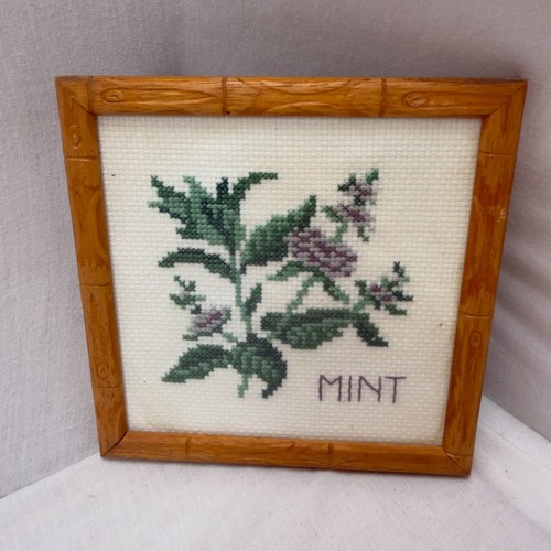 Mint herb botanical cross - botanical,