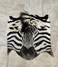 REAL ZEBRA SKIN HEAD ONLY RARE