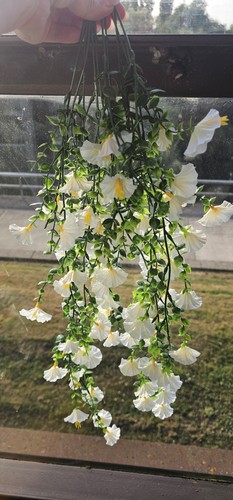 Floral hanging displays - floral,