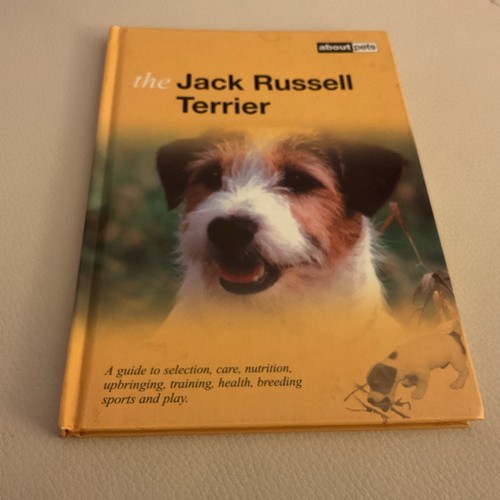 The jack russell terrier - terrier, a