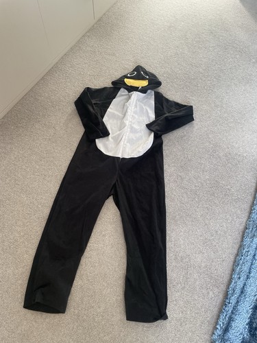 Children penguin dress up - children’s,