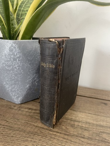 Preloved 1965 holy bible - holy,