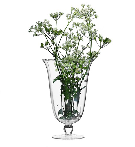 Elegant ribbed pedestal glass - elegant,