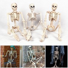 1 PC 40CM Anatomy Photography