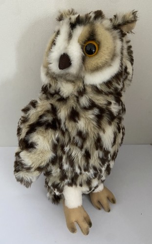 Long eared owl - eared,