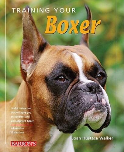 Training your boxer - training,