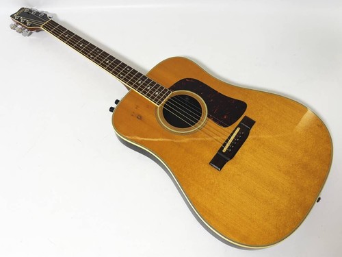 Washburn sbf acoustic - sbf-26,