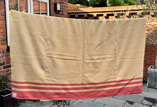 Witney pure new wool blanket - pure,