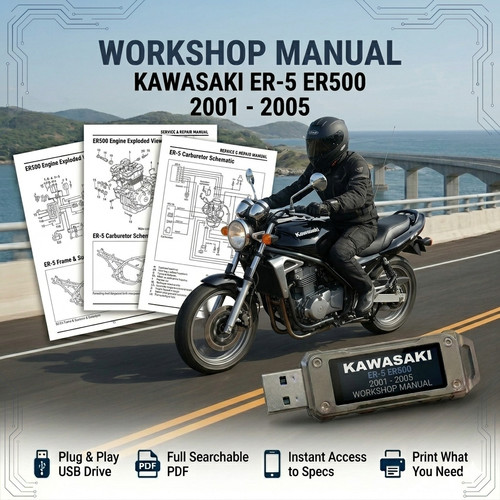 Kawasaki er500 er5 2001 2002 - er5,
