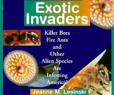 Exotic Invaders : Killer Bees