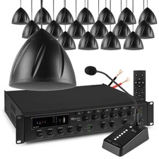 Multi Zone Hanging Speaker