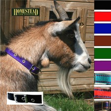 Traditional Goat Collar with