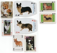 CORGI WELSH & CARDIGAN CORGI COLLECTION OF VINTAGE SINGLE DOG PLAYING CARDS