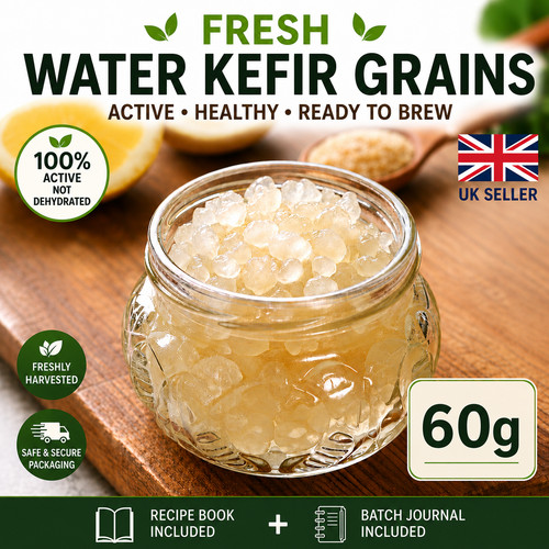 Fresh water kefir grains 60g - fresh,