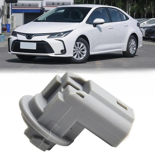 Plastic tail light - light, socket